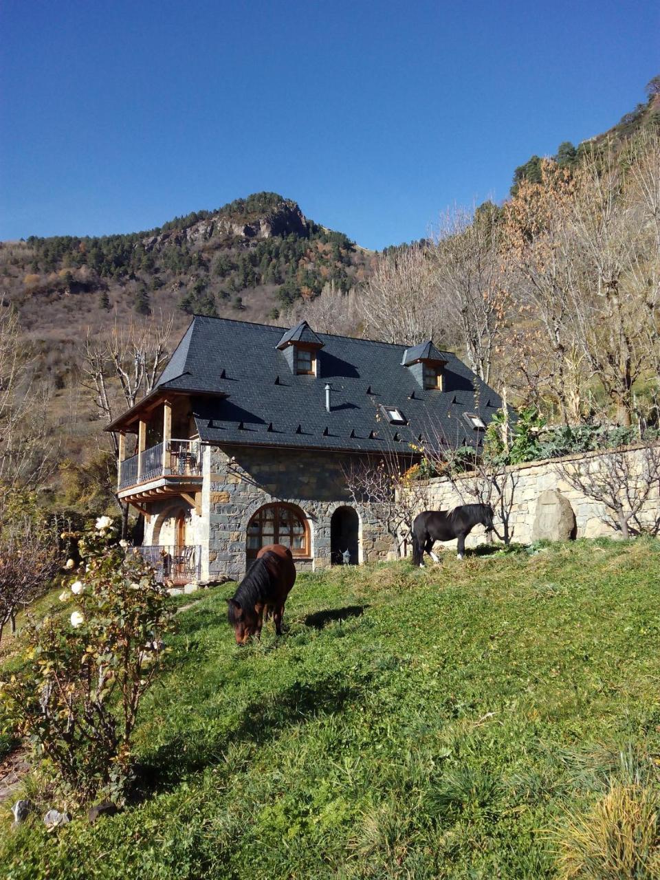 Casa Rural Fontamil Gistaín Zewnętrze zdjęcie